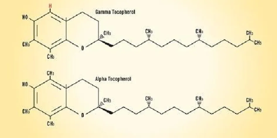 Figure VII. Montre la différence entre le gamma-tocophérol et alpha tocophérol.