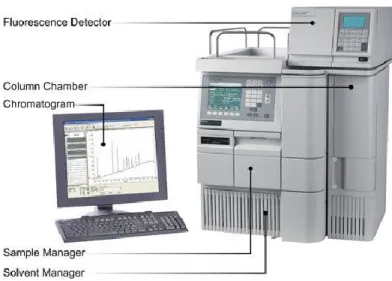 Figure XI. Représentation d’un HPLC et ses composantes les plus importantes.