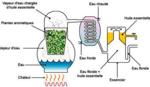 Figure  1 : Modélisation d’un alambic  Source : union-nature.com 