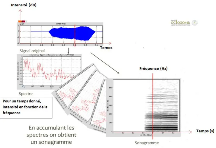 Figure  10 : Signal original, spectres et sonagramme  Source : Pascal Gaillard 