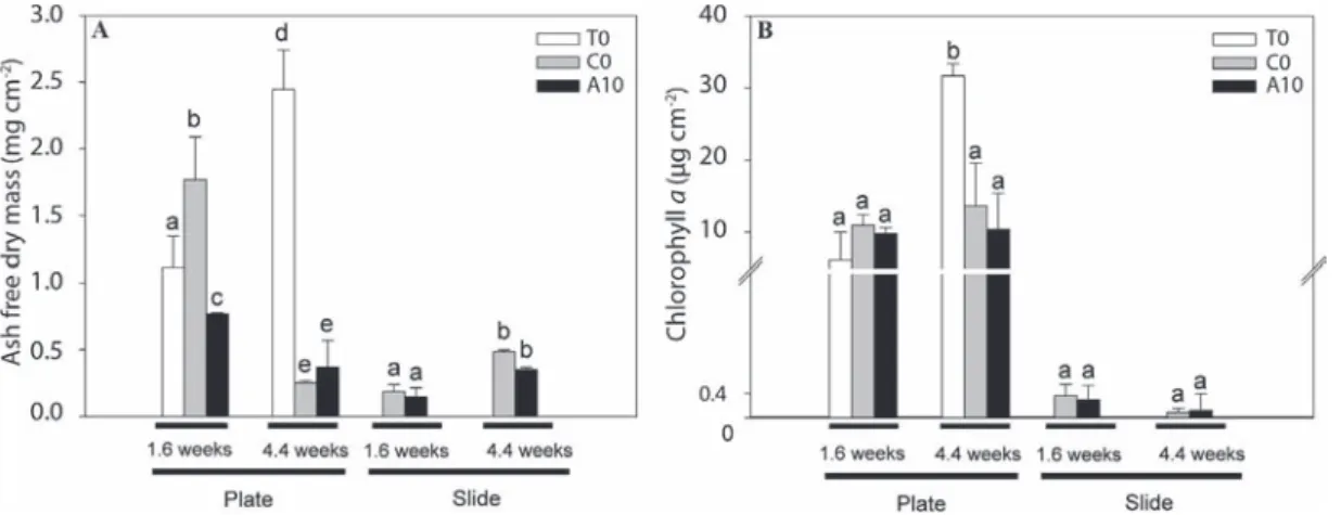 Fig. 1. Plots of AFDM (A) and chlorophyll a (B) values (±SD, n = 3) after 15 days of incubation in the control (Co) and exposed to nominal initial alachlor concentration of 10 mg L −1 (A10) microcosms according to the different experimental conditions (1.6