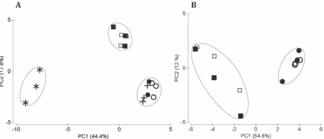 Fig. 2. Changes in the bacterial community structure assessed by principal component analysis (PCA) based on the T-RFLP data after 15 days of incubation in the control (white symbols  and ) and exposed to nominal initial alachlor concentration of 10 mg L