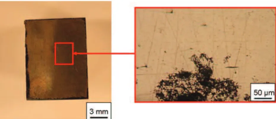 Fig. 14. Observations of the NHT nugget of AA 2050 FSW joint after polarisation tests in a 0.7 M NaCl solution