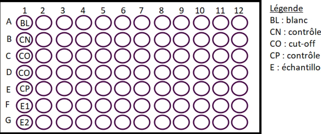 Figure 17 : Plan de plaque ELISA pour la comparaison de méthode ELISA Scimedx ®  et TestLine ®
