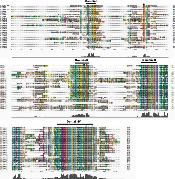 Fig. 1 Multiple sequence alignment of the full-length Sl-IAA proteins. Alignment was  obtained with ClustalX and manual correction