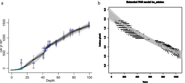 Fig. 2. Age–depth and carbon accumulation estimates for individual profiles. The example shown here is Misten Bog, Belgium