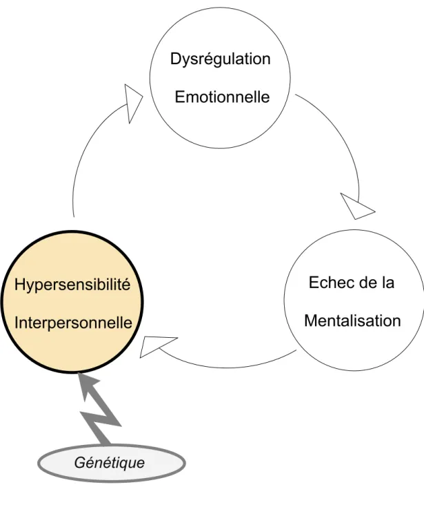 Figure 4 : Primat de l’hypersensibilité interpersonnelle dans la psychopathologie du TPB, selon  Gunderson Dysrégulation   Emotionnelle  Echec de la  MentalisationHypersensibilité Interpersonnelle Génétique