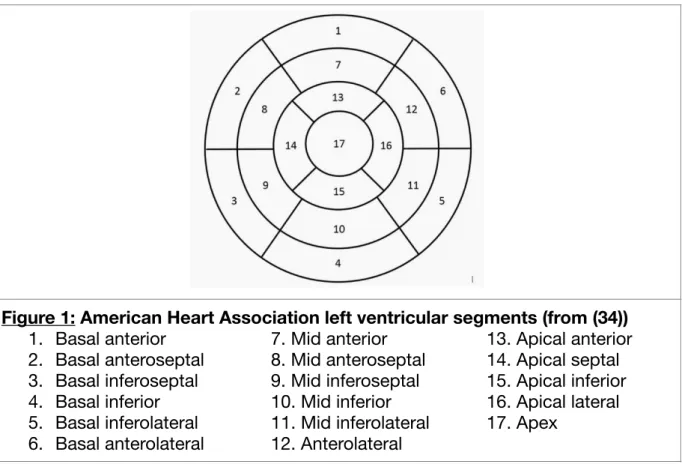 Figure 1: American Heart Association left ventricular segments (from (34))  1. Basal anterior	 	 7