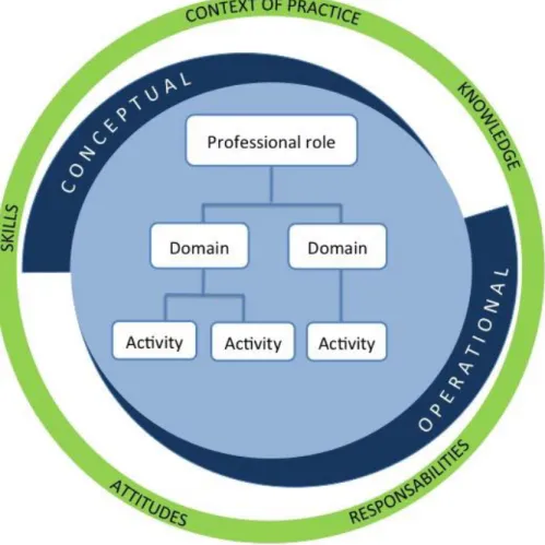 Figure 2. Structure for the description of professional practice in nursing (adapted  from Bent et al