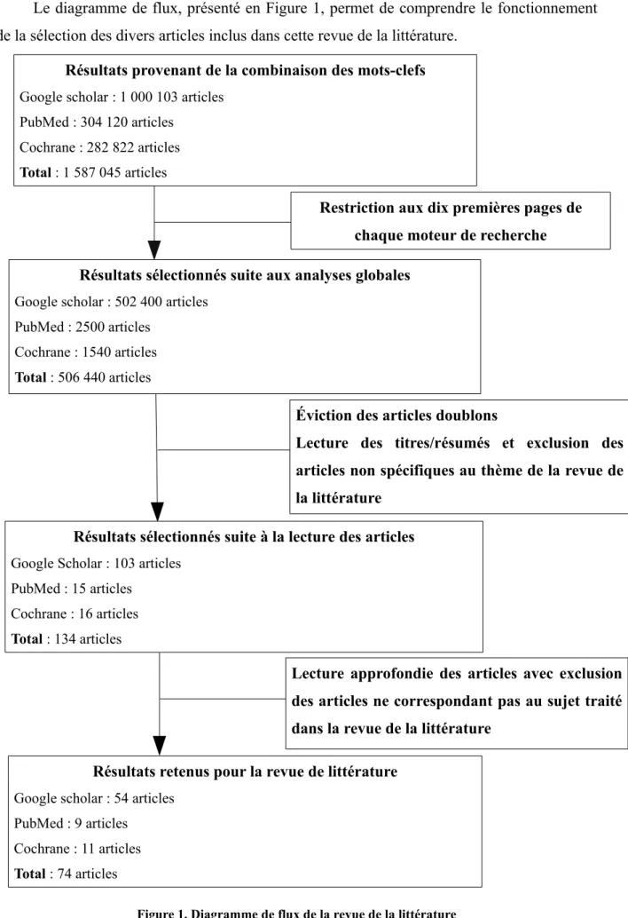 Figure 1. Diagramme de flux de la revue de la littérature