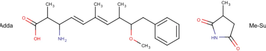Figure 2.8 – Exemple de deux polyketides, l’acide 3-amino-9-methoxy-2,6,8-trimethyl-10- 3-amino-9-methoxy-2,6,8-trimethyl-10-phenyldeca-4,6-dienoique (Adda) et la methyl-succinimide (Me-Suc).