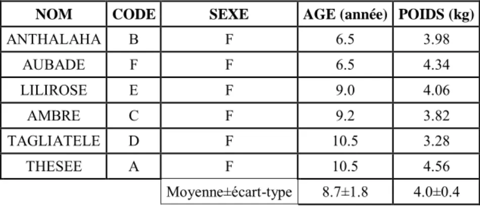 Tableau 4 : Caractéristiques des chats classés selon les critères de randomisation (par  âge puis par poids) 