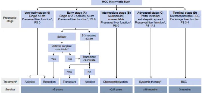 Figure  1  :  Classification  BCLC  modifiée  adaptée  des  recommandations  de  l’EASL,  Journal of Hepatology 2018 