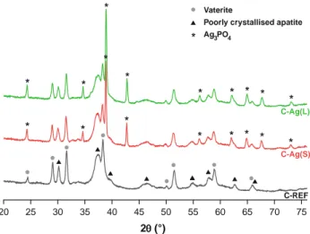 Fig. 4 Evolution of the quantity of apatite formed (as determined by FTIR spectroscopy) within the three types of cement (1 g of cement) during setting