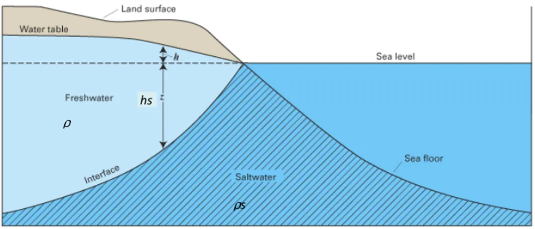 Figure 16 :    Schéma hydrodynamique d’un aquifère côtier à nappe libre selon la relation de Ghyben- Ghyben-Herzberg.