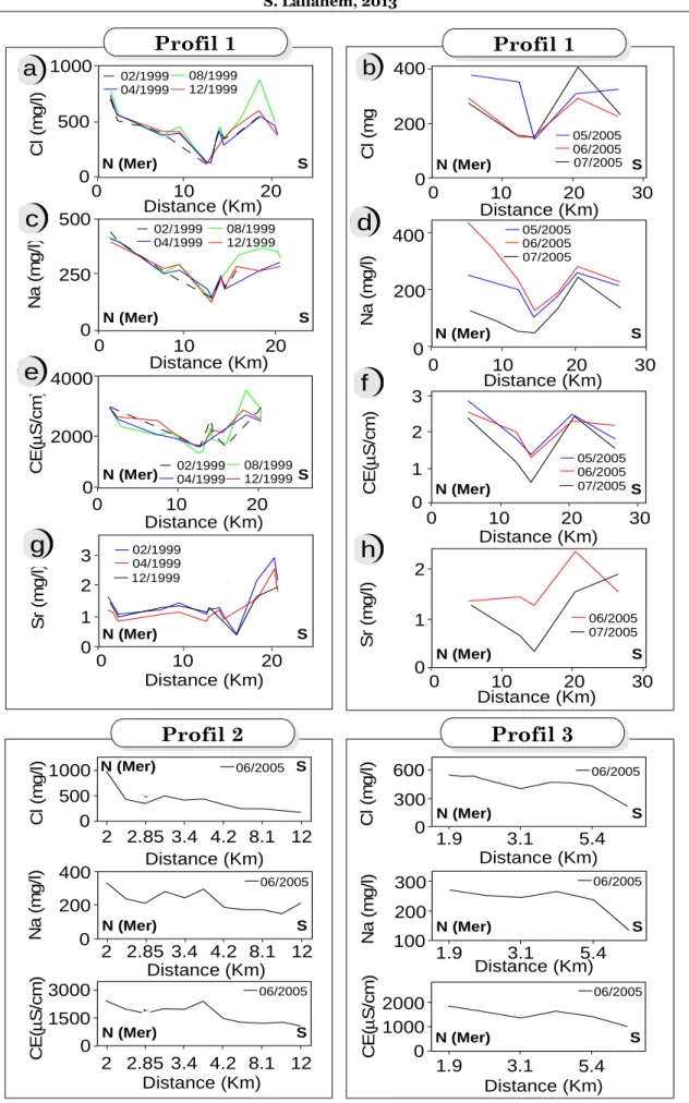 Figure 25 : Evolution de la minéralisation selon 3 profils orthogonaux à la mer 