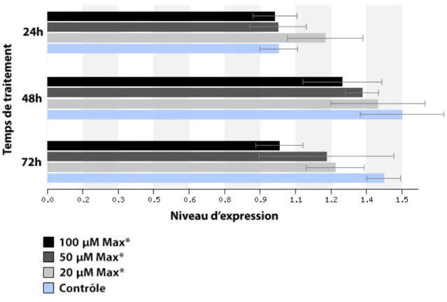Figure  13 : Niveau d’expression relatif de CDK4  dans les cellules HeLa suite à des  traitements de 24, 48 et 72 heures à l’aide de 20, 50 et 100 µM de MAX*