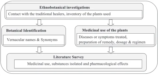 Fig. 1. Process for the study of African traditional medicinal plants.
