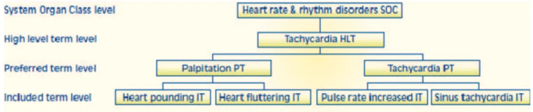 Fig. 2. An example showing the principle of the WHO-ART hierarchy (UMC, 2004).