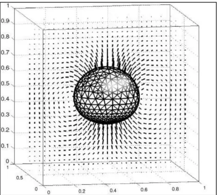 Figure  15:  Illustration  d’une  méthode  de  type  « suivi  de  fronts »  (« Front  Tracking »)  pour  la  simulation  d’écoulements diphasiques