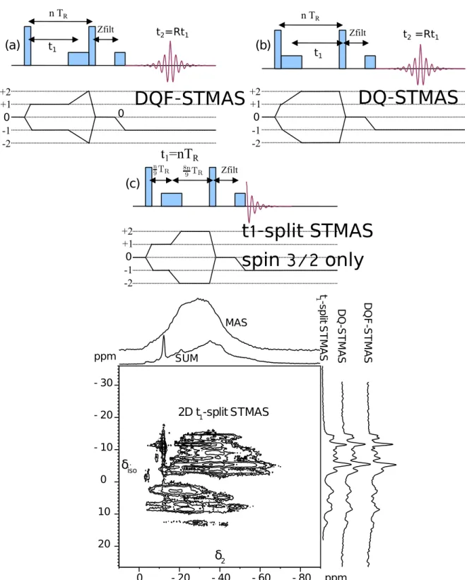 Figure 1.1: Trois versions de la séquence STMAS : (a) avec évolution en t 1 sur les niveaux