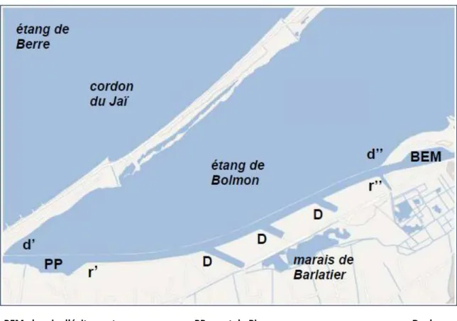 Figure 2 : Topographies de la zone atelier proposée (source : Google Earth)