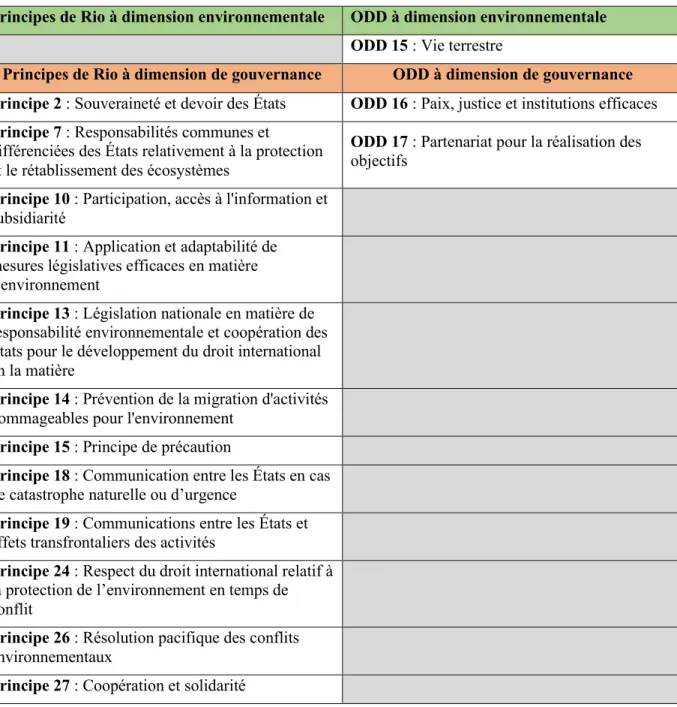 Tableau 2.1 Synthèse des principes de la Déclaration de Rio et des ODD selon les dimensions du  développement durable (suite) 