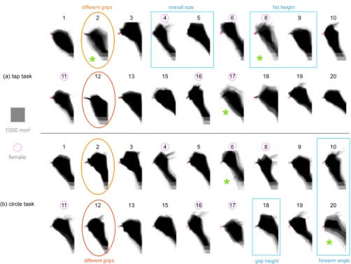 Figure 3.3: Silhouette d’occultation moyenne de chaque participant pour : (a) tâche de sélection et (b) tâche de tracé de cercle.