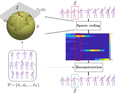 Figure 2.8 – Given the pre-trained dictionary D, skeletal trajectories in the shape manifold can be reconstructed from the space of sparse codes using the weighted intrinsic mean algorithm.