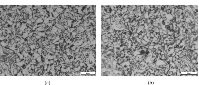Figure IV-10: Microstructure of an as-machined specimen observed through optical microscope,  magnification factor of 500x, (a) non-cycled and (b) after fatigue failure