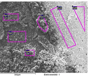 Fig. 15. SEM micrographs (4000×) with emphasized areas submitted to EDX analysis of three 6 o’clock positioned specimens exposed in cell D (inoculation with Desulfovibrio desulfuricans) for 2200 h.