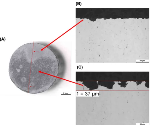 Fig. 19. Macrographs and micrographs of 12 o’clock positioned specimen exposed in cell A (inoculation with Desulfovibrio alaskensis) for 2200 h after corrosion product removal: (A) Macrograph before cross section and cutting line; (B) Micrograph for depth 