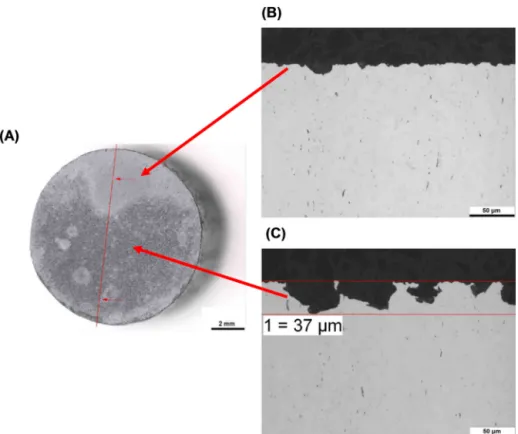 Fig. 19. Macrographs and micrographs of 12 o’clock positioned specimen exposed in cell A (inoculation with Desulfovibrio alaskensis) for 2200 h after corrosion product removal: (A) Macrograph before cross section and cutting line; (B) Micrograph for depth 