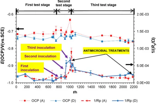 Fig. 5. Average instantaneous corrosion rate (1/(R p /˝)) and OCP (E(OCP)/V (vs. SCE)) values with standard deviation error bars for 12 o’clock positioned steel specimens (WE) exposed in ﬂow cell A (inoculation with Desulfovibrio alaskensis) and ﬂow cell D