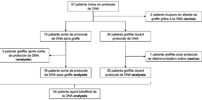 Figure 1.  Flow chart de la cohorte de patients ayant bénéficié de la DNA : 54 patients analysés dont  35 patients greffés.