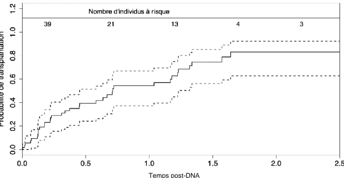 Figure 2.  Courbe d’incidence cumulée de greffe parmi les patients en protocole de DNA (n initial= 54)  Probabilité de greffe à 6 mois 39,3% IC95 [17,1-61,5%] et à 1 an 54,4% IC95 [22,4-86,4].