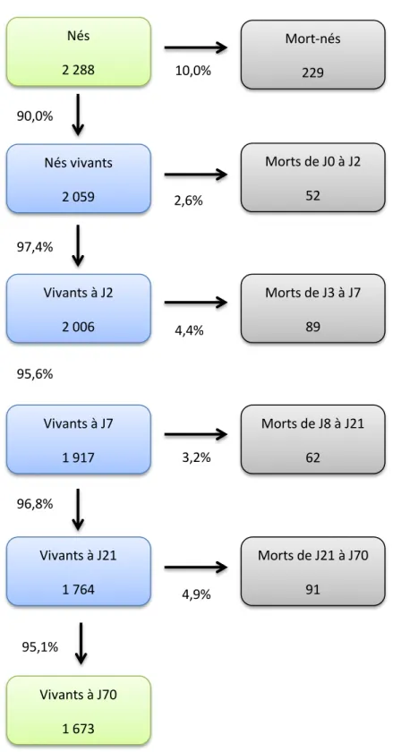 Figure 3 : Risque de mortalité à chaque période de vie. 