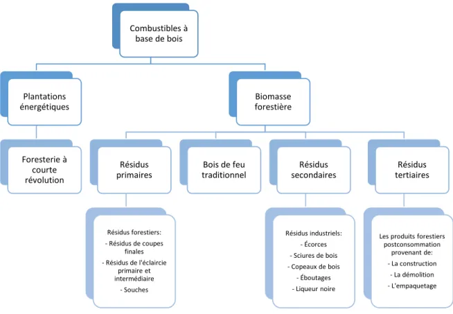 Figure 1.1 Classification des combustibles à base de bois (traduction libre de : Röser et al., 2008, p
