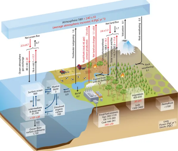 Figure 2.1 Le cycle du carbone simplifié (tiré de : IPCC, 2013, p. 471) 