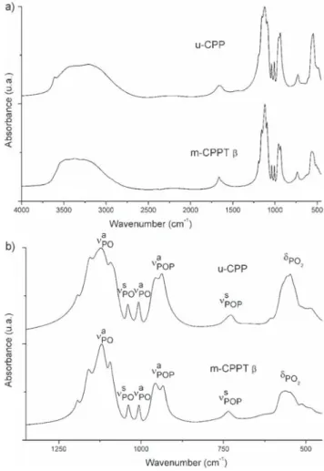 Fig. 3 SEM micrographs of the two hydrated calcium pyrophosphate phases synthesised under the same conditions but using two different setups: a) m-CPPT b; b) u-CPP.