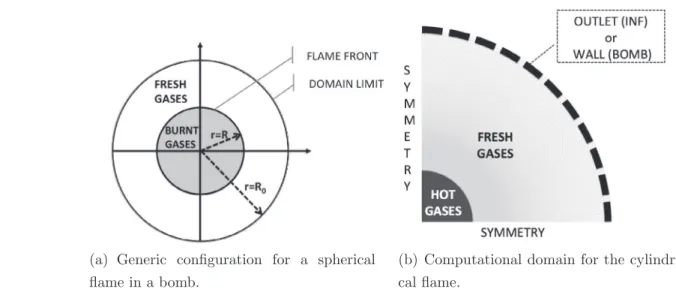Fig. 1. Configuration for expanding flames.
