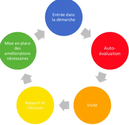 Figure 1 : Les étapes principales de la démarche.  