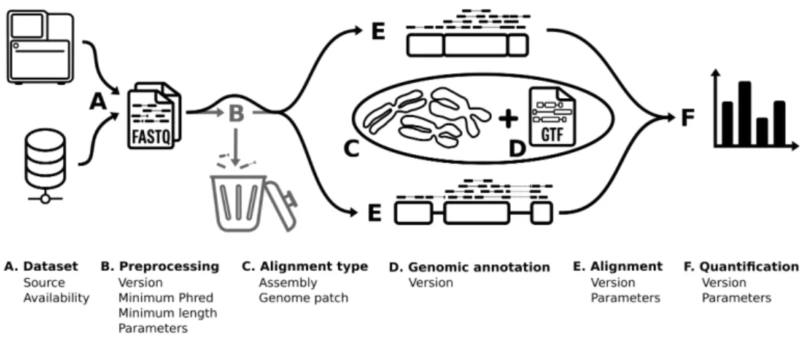 Figure 1 – RNA-seq bioinformatics pipeline. Schematic of the RNA-seq bioinformatics methodo- methodo-logy