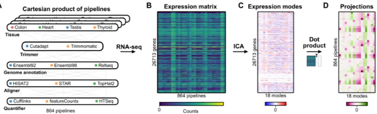 Figure 1 – Illustrations of the main steps of this study. First, all possible combinations of tissue samples, trimmers, genome annotations, aligners and quantifiers are processed as independent RNA-seq experiments