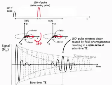 Figure 2.4 – Generating an echo by applying a 90 ◦ pulse followed by a 180 ◦ pulse.
