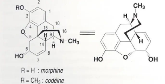 Figure 2 : Structure chimique de la morphine et de la codéine (6)