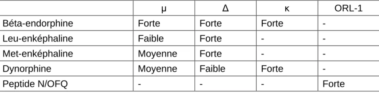 Tableau 2 : Affinité des endorphines pour les différents récepteurs (9) 