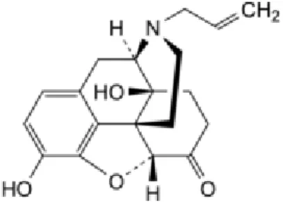 Figure 19 : Structure chimique de la naloxone (8)