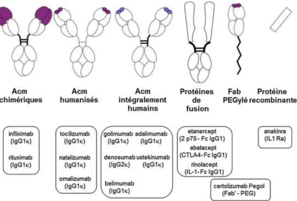 Figure 2 : Principaux biomédicaments utilisés dans les maladies inflammatoires  D’après P