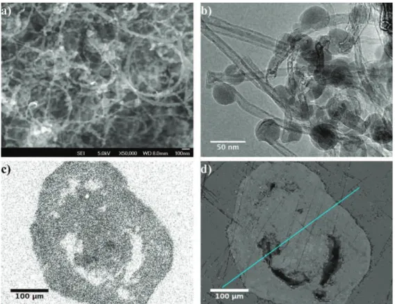 Fig. 6 – (a) FEG-SEM and (b) TEM views of CNT-Si balls, (c) Si mapping by EDS and (d) corresponding SEM view of a half-cut ball embedded in epoxy resin, after run S60.